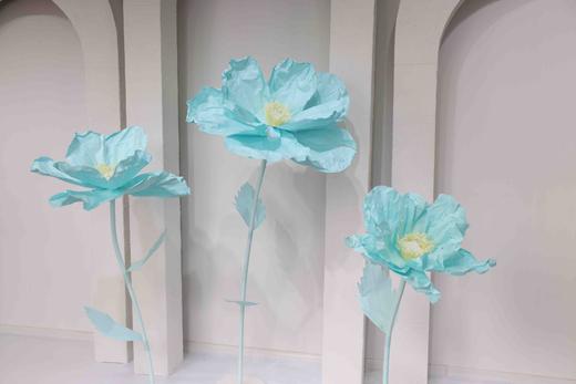 虞美人（运费自理） 商品图4