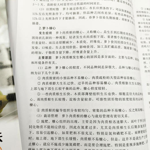 蔬菜水果感官性状与检验方法 商品图3