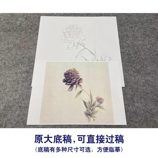 【无步骤】李长白工笔花鸟画白描底稿《芍药》斗方小品册页-LB17 商品图1