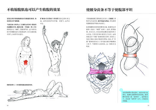 腹部功能康复训练 商品图6