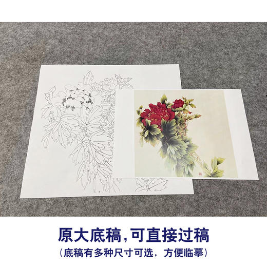 【无步骤】李长白工笔花鸟画白描底稿《牡丹》斗方小品册页-LB11 商品图1