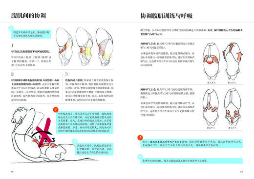 腹部功能康复训练 商品图8