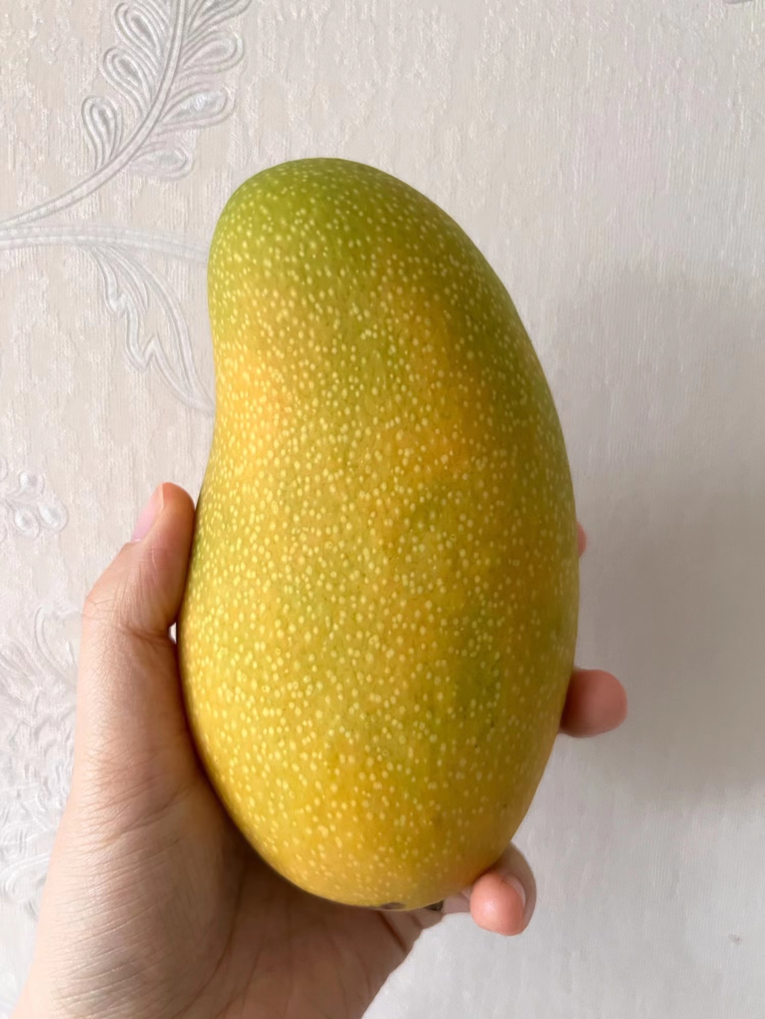 金煌芒外表平平无奇,想着试试味道吧.