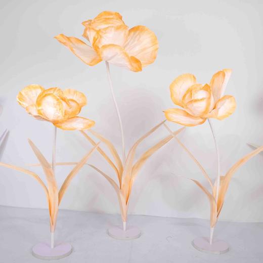 鸢尾花（运费自理） 商品图6