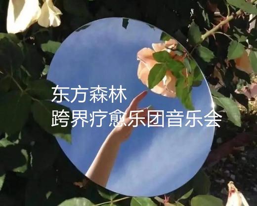 【门票】东方森林跨界疗愈乐团音乐会 商品图0