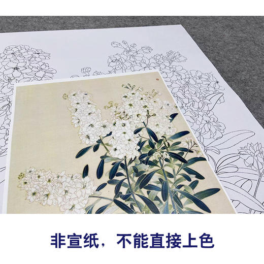 【无步骤】李长白工笔花鸟画白描底稿《瓶花》斗方小品册页-LB14 商品图2