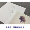 【无步骤】李长白工笔花鸟画白描底稿《芍药》斗方小品册页-LB17 商品缩略图2