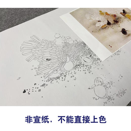 【无步骤】李长白工笔花鸟画白描底稿《母与子》母鸡鸡雏-斗方小品册页-LB10 商品图2