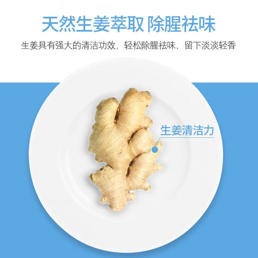 BF|海盐生姜餐具净 食用级安全无残留*2（普通快递） 商品图1