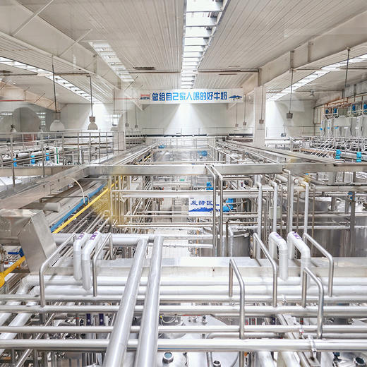 【满两件减5元 | 摩菲水牛纯牛奶】每盒含7.6g原生蛋白质 奶质丝滑浓郁 口感细腻香醇 商品图6