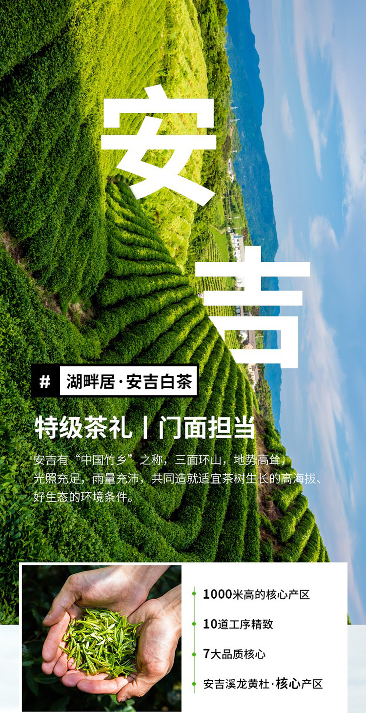 湖畔居正宗明前安吉白茶茶叶精品一级80g绿茶礼盒 - 湖畔居茶叶旗舰店