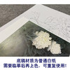 【无步骤】李长白工笔花鸟画白描底稿《白牡丹 》斗方小品册页-LB01 商品缩略图3