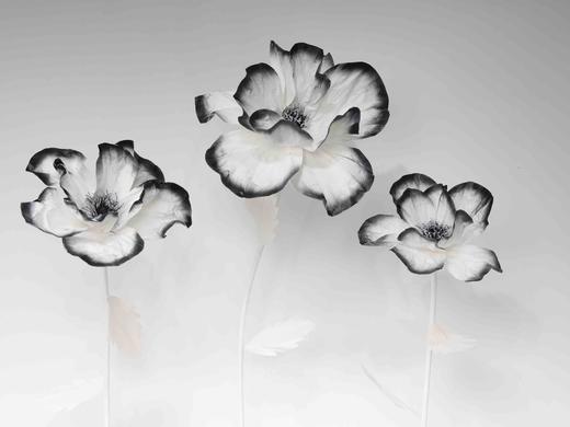 虞美人【运费自理】 商品图10