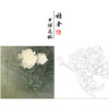 【无步骤】李长白工笔花鸟画白描底稿《白牡丹 》斗方小品册页-LB01 商品缩略图0