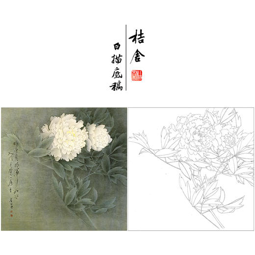 【无步骤】李长白工笔花鸟画白描底稿《白牡丹 》斗方小品册页-LB01 商品图0