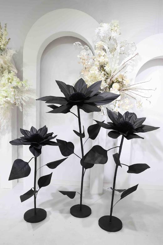 向日葵（运费自理） 商品图6