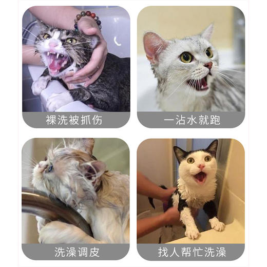 猫咪洗澡神器 洗猫袋通用 专用防跑固定剪指甲防抓咬 清洁用品 商品图1