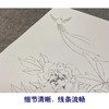 【无步骤】李长白竖幅工笔花鸟画白描底稿《牡丹寿带》LB12 商品缩略图4