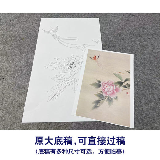 【无步骤】李长白竖幅工笔花鸟画白描底稿《牡丹寿带》LB12 商品图1