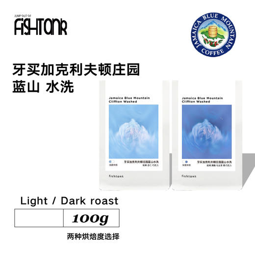 牙买加克利夫顿庄园蓝山水洗手冲咖啡豆 100g 商品图0