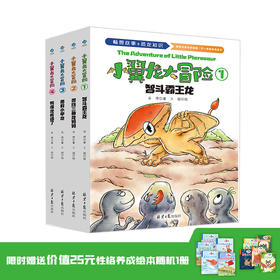 【精装】小翼龙大冒险（全4册） 4岁+ 9个游戏