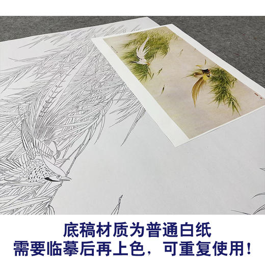 【无步骤】李长白竖幅工笔花鸟画白描底稿《风竹锦鸡》LB07 商品图3
