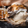 新鲜乳山生蚝 原产地直采 精选6两蚝王 丰腴肥美 入口嫩滑淡淡乳香 商品缩略图11