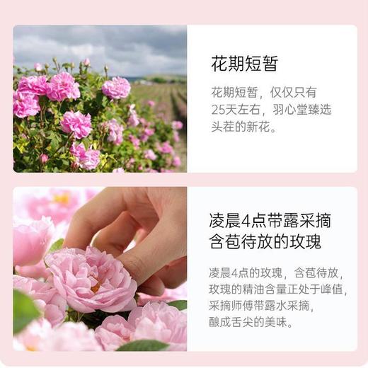 停售】4.29母亲节活动 | 羽心堂 凡多姆花冠王玫瑰有机无硫玫瑰花茶30g*2盒（新日期） 赠随机茶包*10[福利品] 商品图3