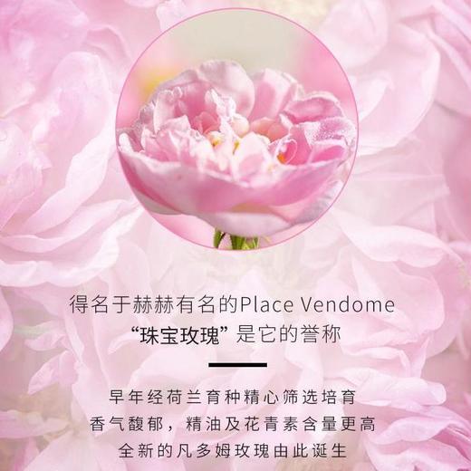 羽心堂 凡多姆玫瑰花冠王30g【送条饮单包*4或茶单包*4+花冠王3g*1】[福利品] 商品图5