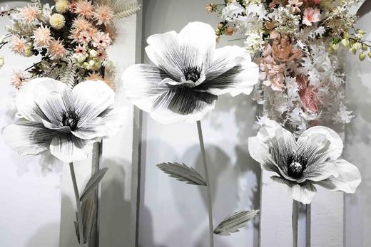 茶花（运费自理） 商品图3