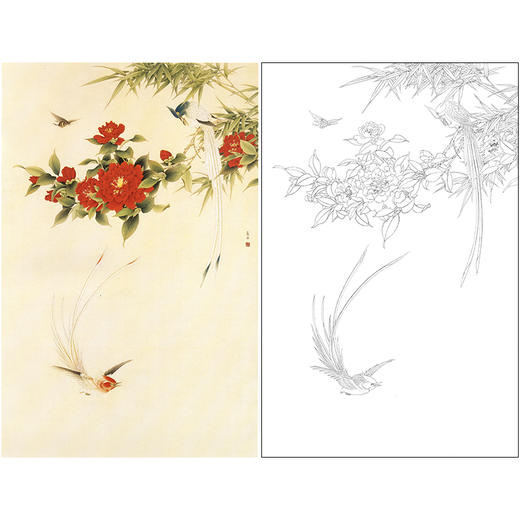 【无步骤】李长白竖幅工笔花鸟画白描底稿《山茶寿带》LB16 商品图0