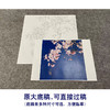【无步骤】李长白工笔花鸟画白描底稿《春意》斗方小品册页-LB04 商品缩略图1