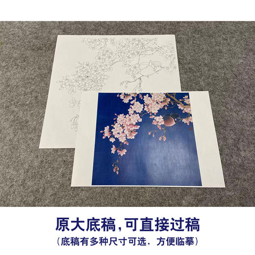 【无步骤】李长白工笔花鸟画白描底稿《春意》斗方小品册页-LB04 商品图1