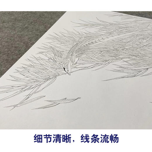 【无步骤】李长白竖幅工笔花鸟画白描底稿《风竹锦鸡》LB07 商品图4