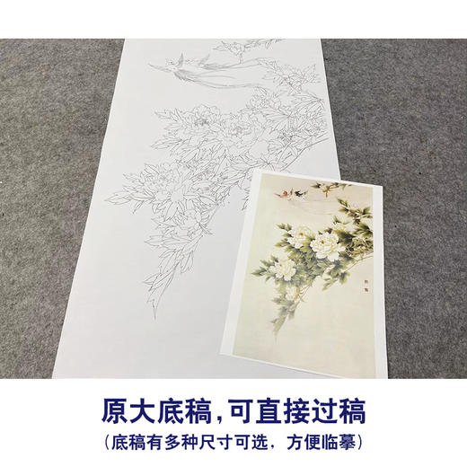 【无步骤】李长白竖幅工笔花鸟画白描底稿《牡丹寿带》LB13 商品图1