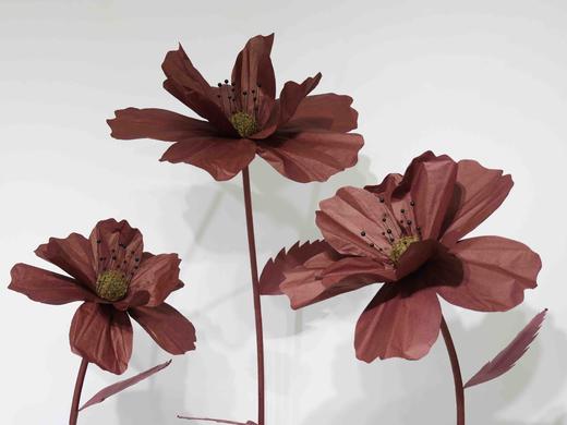 秋英（运费自理） 商品图6