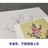【无步骤】李长白工笔花鸟画白描底稿《月季飞碟图》斗方小品册页-LB21 商品缩略图2