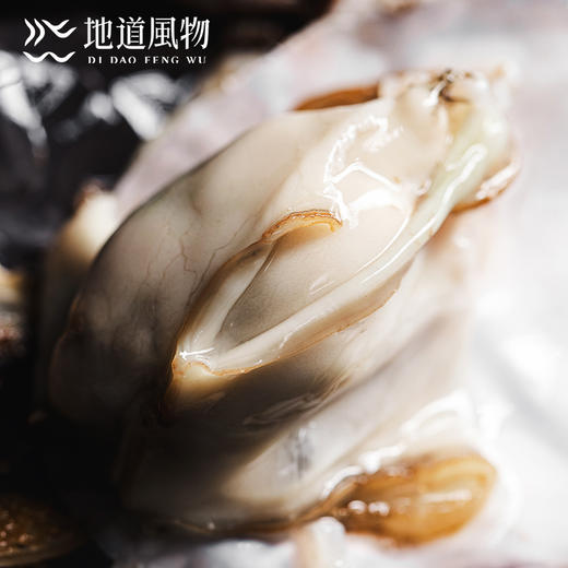 新鲜乳山生蚝 原产地直采 精选6两蚝王 丰腴肥美 入口嫩滑淡淡乳香 商品图12