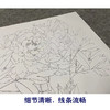 【无步骤】李长白工笔花鸟画白描底稿《白牡丹 》斗方小品册页-LB01 商品缩略图4