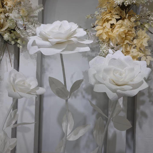 水染玫瑰（运费自理） 商品图2