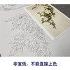 【无步骤】李长白竖幅工笔花鸟画白描底稿《牡丹寿带》LB13 商品缩略图2