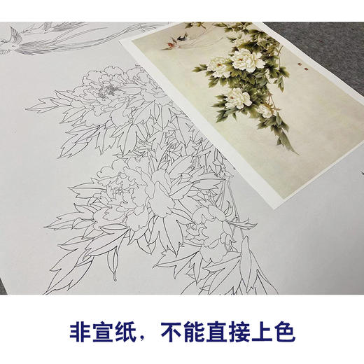 【无步骤】李长白竖幅工笔花鸟画白描底稿《牡丹寿带》LB13 商品图2