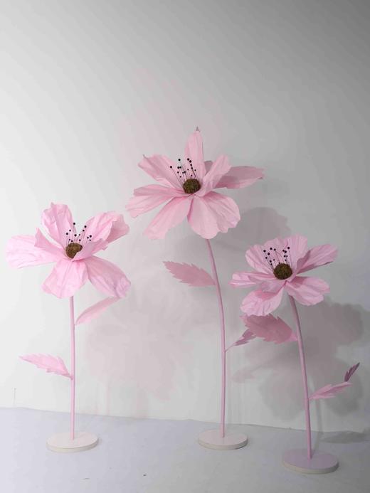 秋英（运费自理） 商品图3