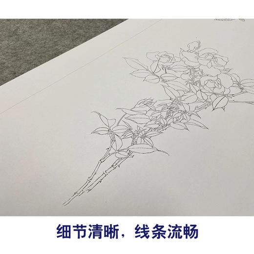 【无步骤】李长白竖幅工笔花鸟画白描底稿《月季双蝶》LB22 商品图4