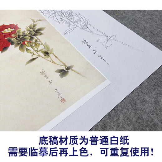 【无步骤】李长白工笔花鸟画白描底稿《蝶恋花 》斗方小品册页-LB06 商品图3