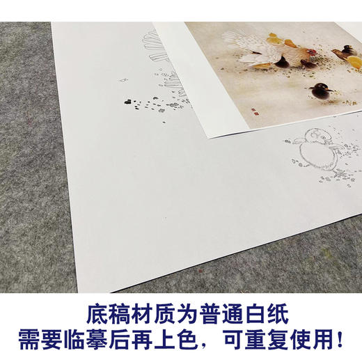 【无步骤】李长白工笔花鸟画白描底稿《母与子》母鸡鸡雏-斗方小品册页-LB10 商品图3