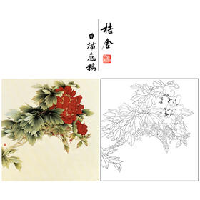 【无步骤】李长白工笔花鸟画白描底稿《牡丹》斗方小品册页-LB11