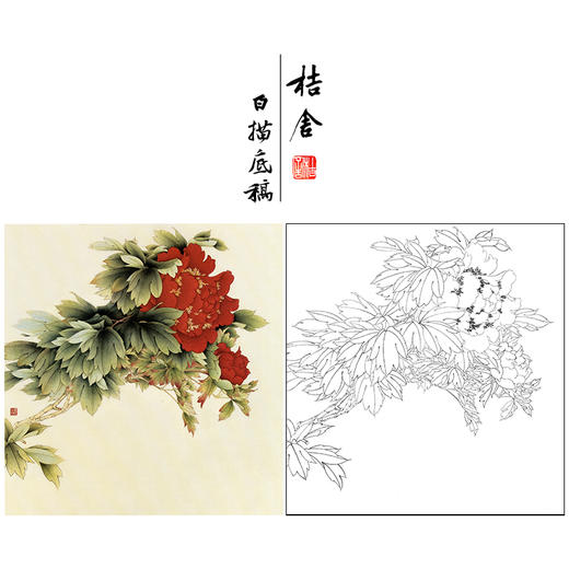 【无步骤】李长白工笔花鸟画白描底稿《牡丹》斗方小品册页-LB11 商品图0