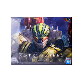 万代Bandai  HG 1/144 钢铁吉克(INFINITISM) BANC4573102609335