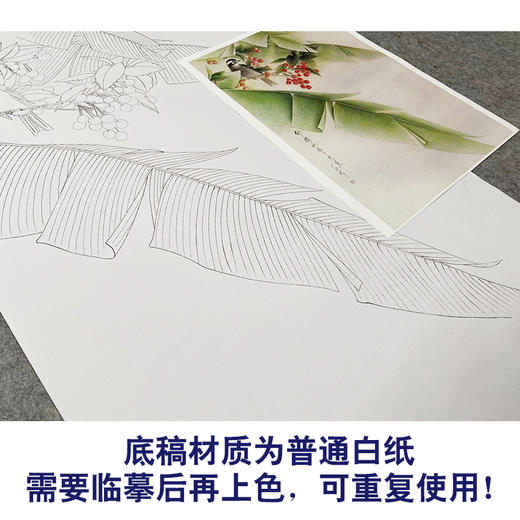 【无步骤】李长白竖幅工笔花鸟画白描底稿《红了樱桃绿了芭蕉 》LB08 商品图3
